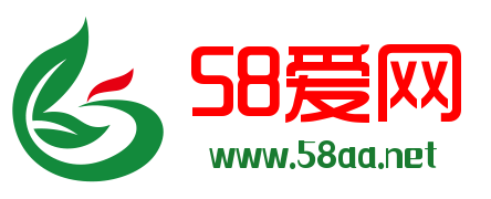 ww.58aa.net